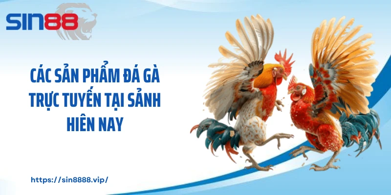 Các sản phẩm đá gà trực tuyến tại sảnh hiên nay