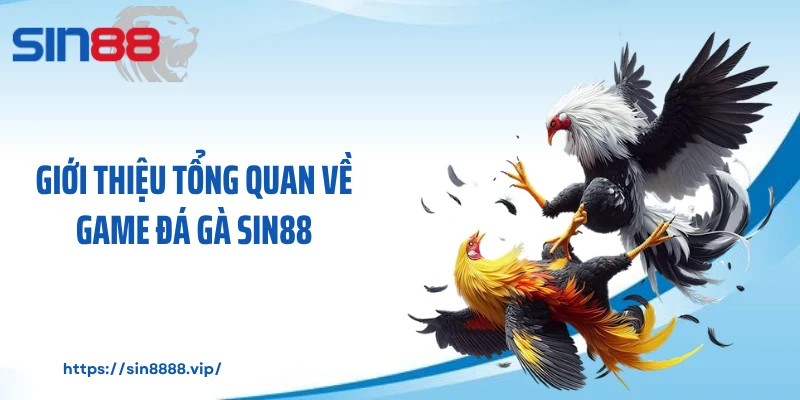 Giới thiệu tổng quan về game đá gà Sin88