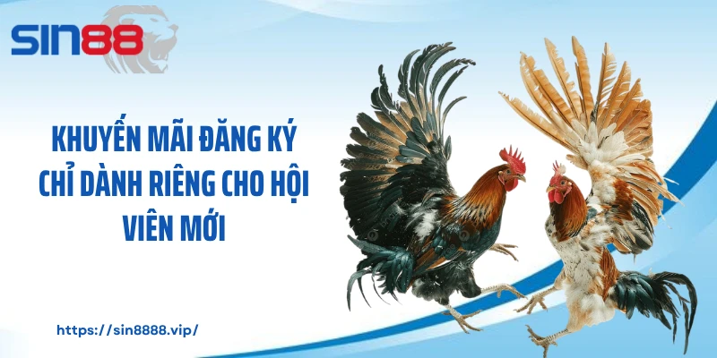 Khuyến mãi đăng ký chỉ dành riêng cho hội viên mới