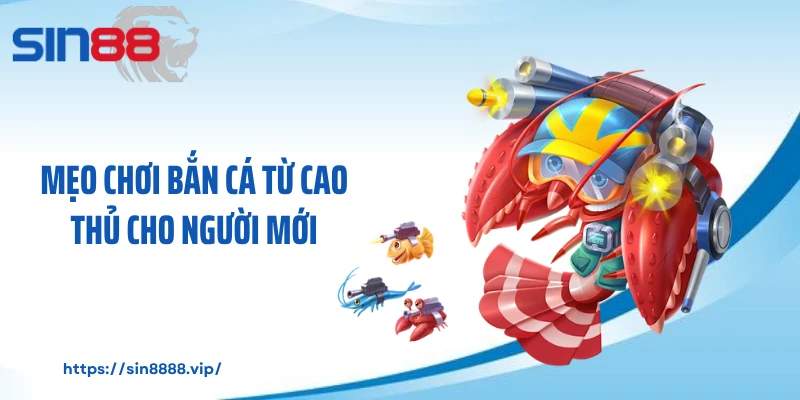 Mẹo chơi bắn cá từ cao thủ cho người mới
